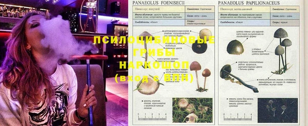 jwh Волоколамск