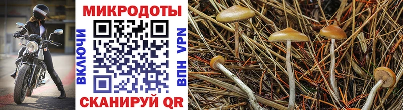 купить  цена  Нижневартовск  omg ТОР  Псилоцибиновые грибы MAGIC MUSHROOMS 
